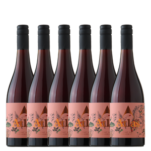 Atlas Pinot Noir 2025 - 6 Pack