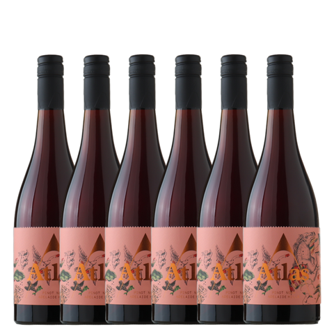 Atlas Pinot Noir 2025 - 6 Pack