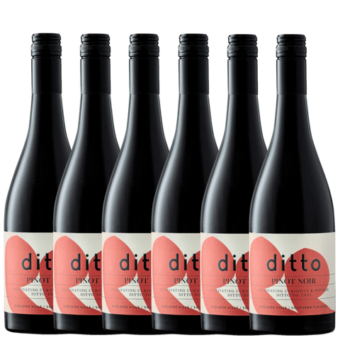 Ditto Wines Pinot Noir 2024 - 6 Pack