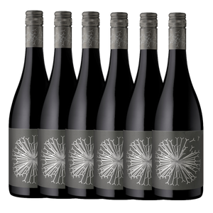 Dandelion Vineyards Firehawk of McLaren Vale Shiraz 2022 - 6 Pack