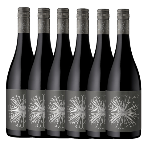 Dandelion Vineyards Firehawk of McLaren Vale Shiraz 2022 - 6 Pack