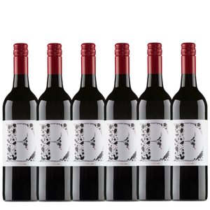 Elderton E Series Shiraz 2023 - 6 Pack