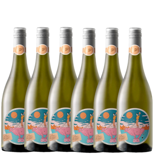 il Cattivo Arneis 2024 - 6 Pack