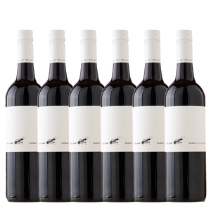 Bullant Shiraz 2023 - 6 Pack