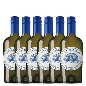 Little Giant Pinot Gris 2023 - 6 Pack