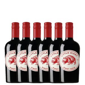 Little Giant Pinot Noir 2025 - 6 Pack