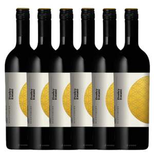 Penley Estate 'Scottsburn' Coonawarra Cabernet Shiraz 2017 - 6 Pack