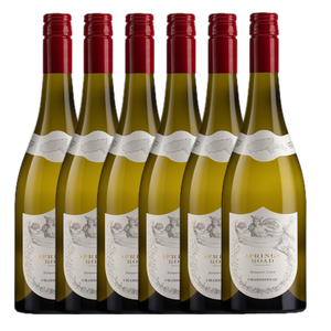 Spring Road Chardonnay 2023 - 6 Pack