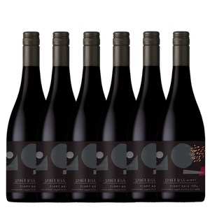 Spider Bill ‘Chapel Valley’ Pinot Noir 2023 - 6 Pack