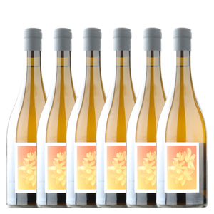 Sven Joschke ‘L’ambré’ Muscat à Petits Blanc & Semillon 2025 - 6 Pack