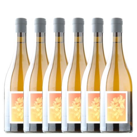 Sven Joschke ‘L’ambré’ Muscat à Petits Blanc & Semillon 2025 - 6 Pack