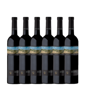 Samuel's Gorge Graciano 2024 - 6 Pack