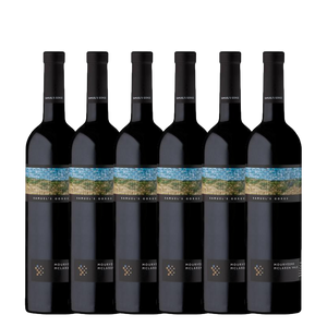 Samuel's Gorge Mourvèdre 2023 - 6 Pack