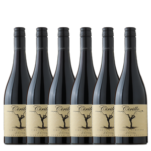 Cirillo Estate Single Vineyard Shiraz 2025 - 6 Pack