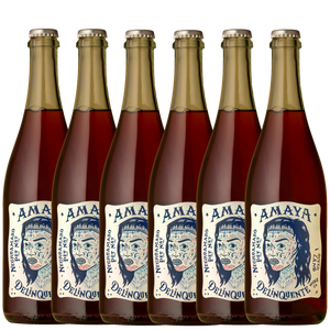 Delinquente ‘Amaya’ Negroamaro Pet Nat 2025 - 6 Pack