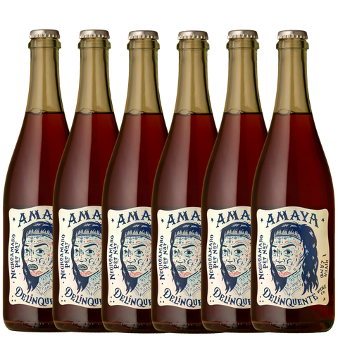Delinquente ‘Amaya’ Negroamaro Pet Nat 2025 - 6 Pack