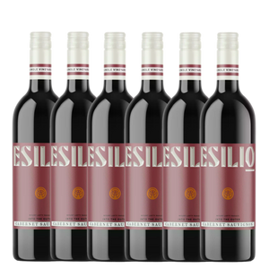 Esilio Wines 'Into The Outer' Cabernet Sauvignon 2022 - 6 Pack