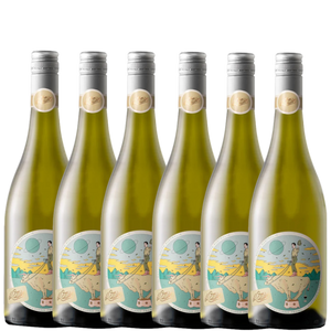 il Cattivo Fiano 2024 - 6 Pack