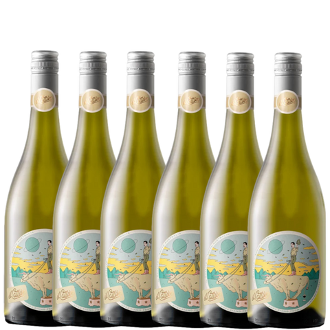 il Cattivo Fiano 2024 - 6 Pack