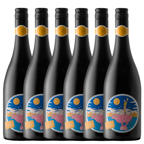 il Cattivo Montepulciano 2022 - 6 Pack