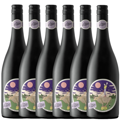 il Cattivo Nebbiolo 2024 - 6 Pack