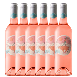 il Cattivo Grenache Rosé 2024 - 6 Pack