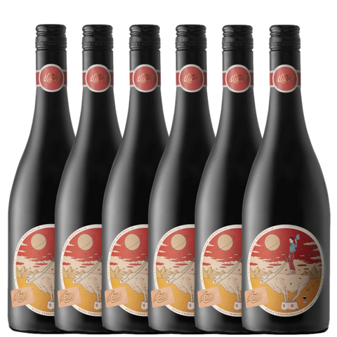 il Cattivo Tempranillo 2024 - 6 Pack
