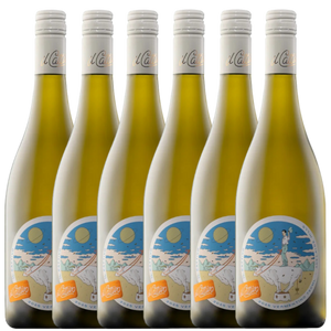 il Cattivo Vermentino 2025 - 6 Pack