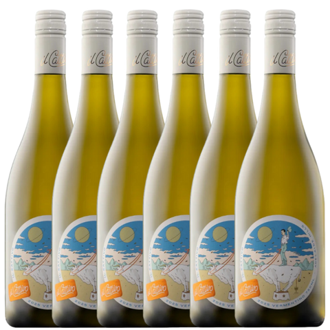 il Cattivo Vermentino 2025 - 6 Pack