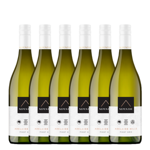Nepenthe Pinot Gris 2025 - 6 Pack