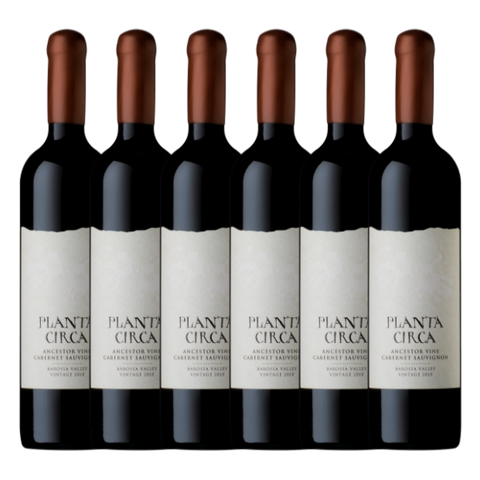 Planta Circa Ancestor Vine Cabernet Sauvignon 2021 6 Pack