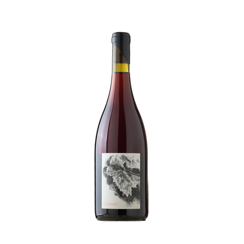 J & S Fielke Piccadilly Valley Pinot Noir 2023