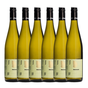 Jeanneret Big Fine Girl Riesling 2023 - 6 Pack