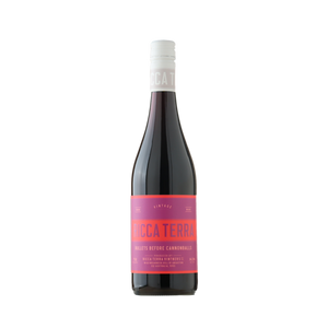 Ricca Terra Bullets Before Cannonballs Red Blend 2024