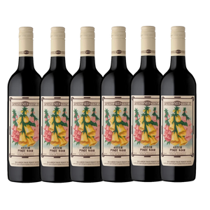 Spring Seed Astor Pinot Noir 2022 - 6 Pack