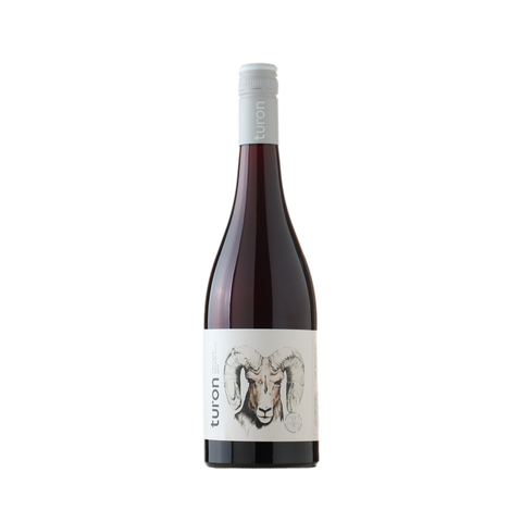 Turon Pinot Noir 2024