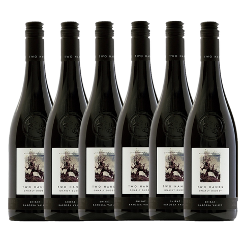 Two Hands Gnarly Dudes Shiraz 2022 - 6 PAck