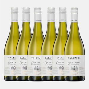 Yalumba Samuel's Collection Eden Valley Chardonnay 2021 6 Pack