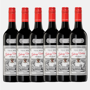 Yalumba Galway Vintage Shiraz 2023 - 6 Pack