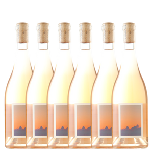 Sven Joschke 'La Adeline' Rose 2025 - 6 Pack