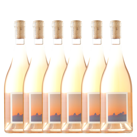Sven Joschke 'La Adeline' Rose 2025 - 6 Pack