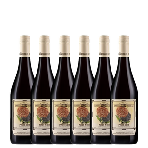 Spring Seed 'Aster' Pinot Noir 2024 - 6 Pack