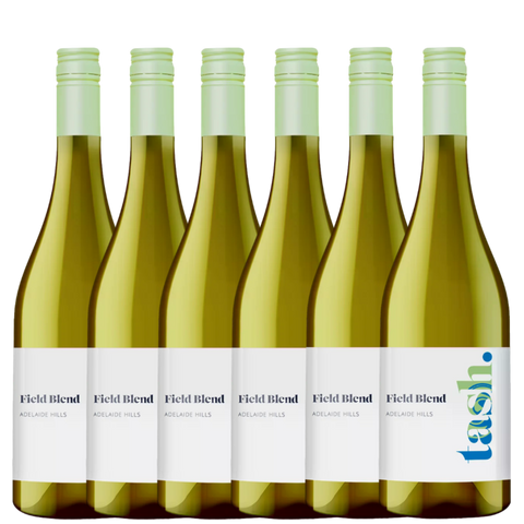 Tash Field Blend 2024 - 6 Pack