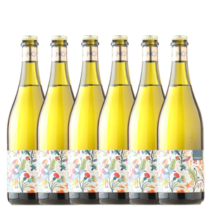 Wangolina 'Birds of a Feather' Prosecco 2025 - 6 Pack