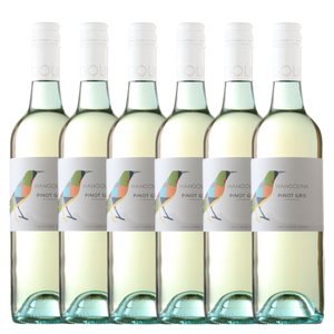 Wangolina Pinot Gris 2025 - 6 Pack